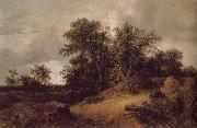 Jacob van Ruisdael Dune Landfscape oil painting artist